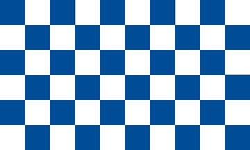 Picture of Blue/White Checkered Flag