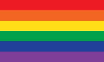 Picture of Gay Pride Flag