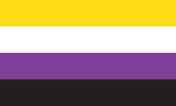 Picture of Non-Binary Pride Flag