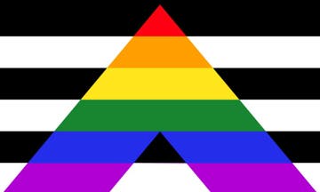 Picture of Straight Ally Pride Flag